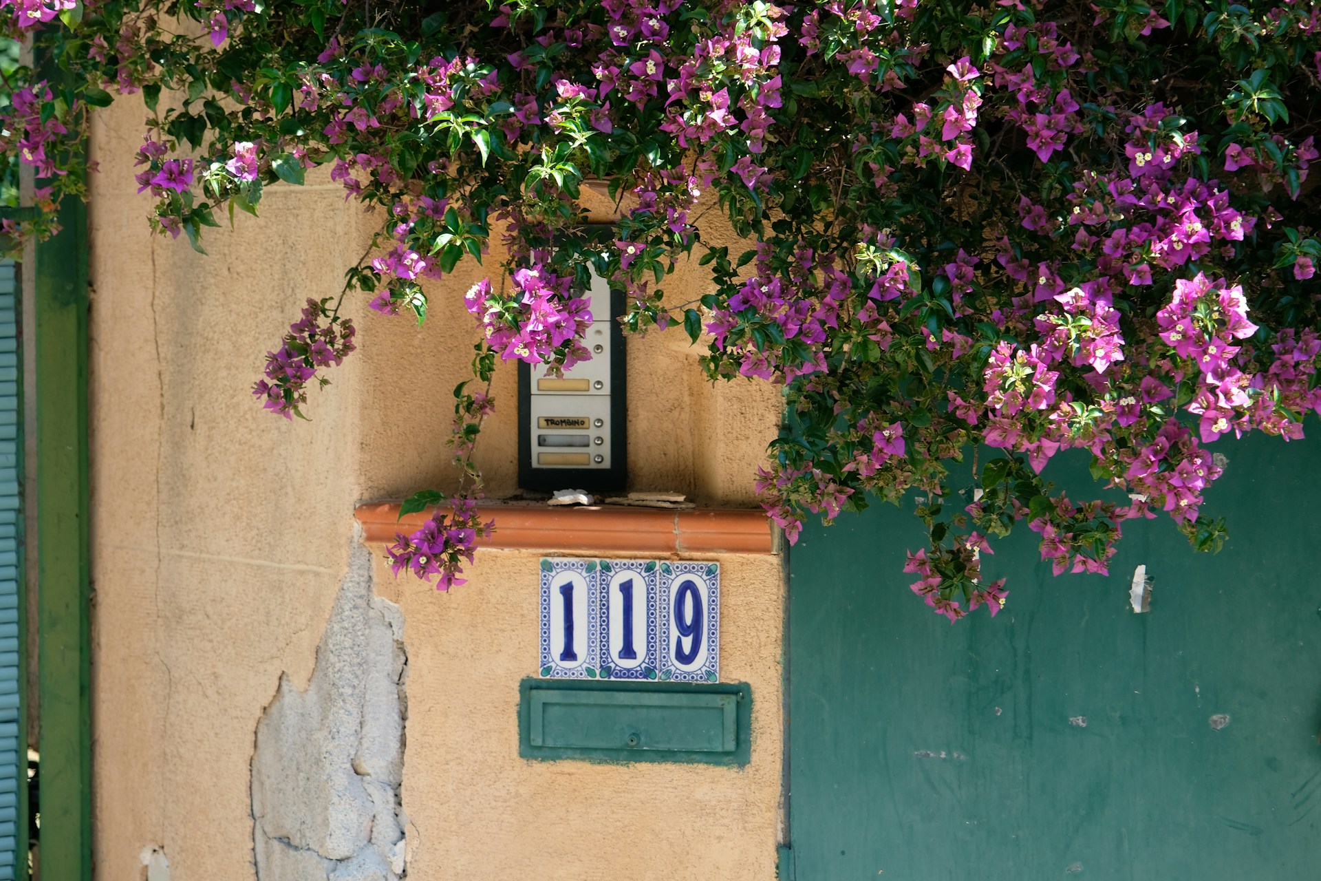 Cycle #119